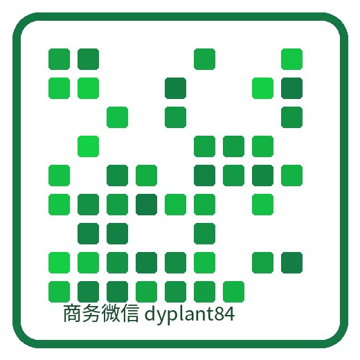 抖阴