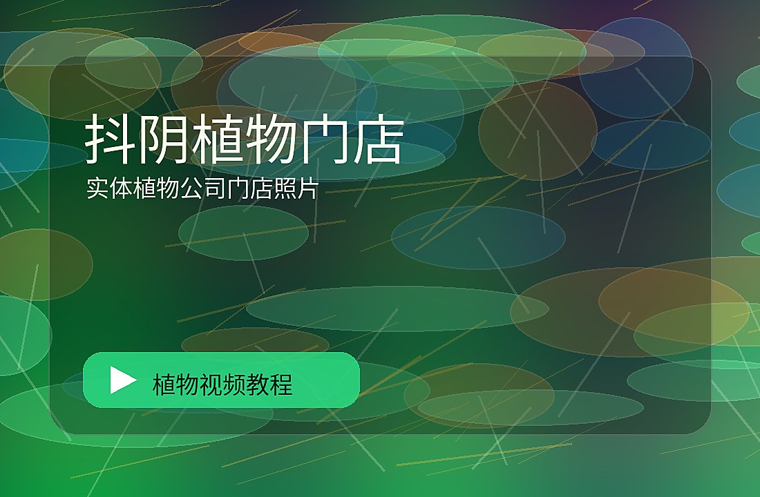 抖阴